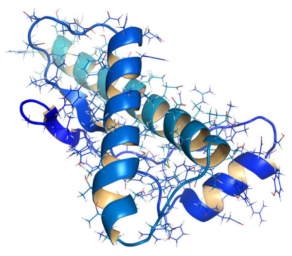 Human-Prion-Protein