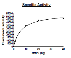 MMP9 (Q279R), C-terminal His-tag, human recombinant protein