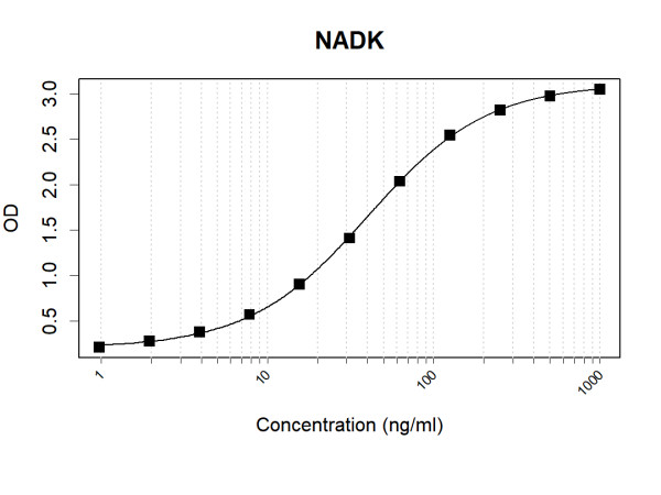 Anti-Human NADK Antibody Pair