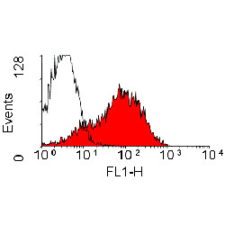 Anti-CD44 (FITC), clone OX-50