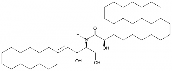 C24 (2'(R)-hydroxy) Ceramide (d18:1/24:0)