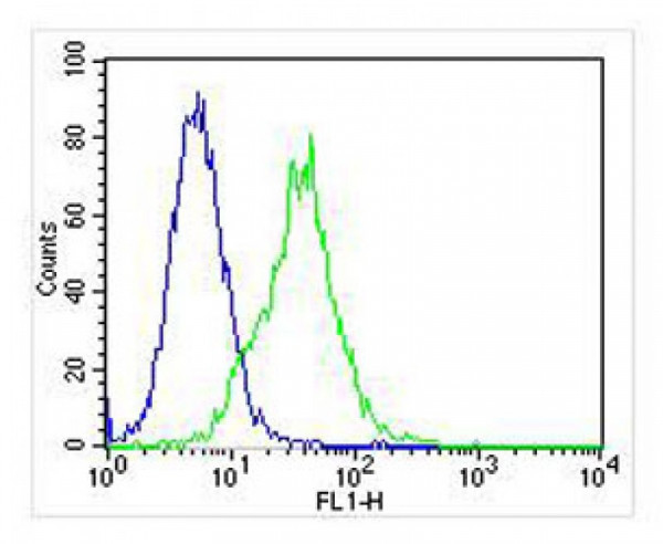 Anti-HINT1, clone 1500CT836.13.93