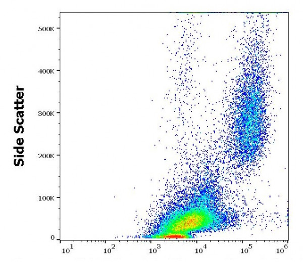 Anti-CD86, clone GL-1 (Functional Grade)