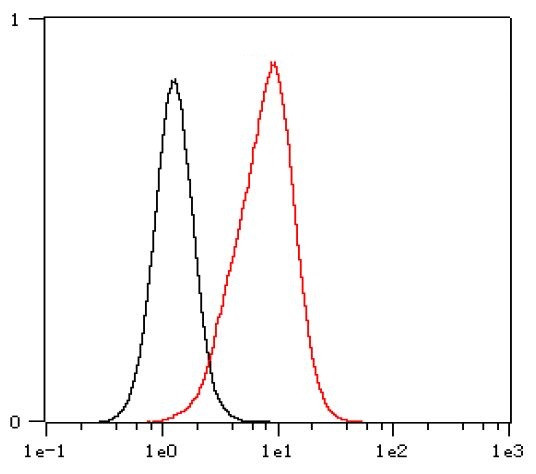 Anti-Cytokeratin 10, clone SQab1884