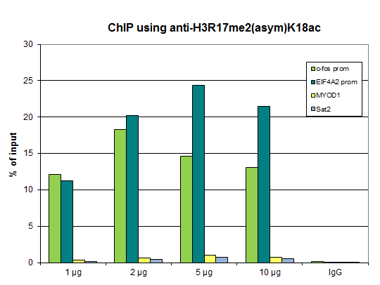 Anti-H3R17me2(asym)K18ac