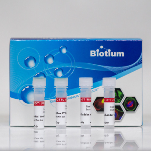 ExoBrite(TM) 400/460 True EV Membrane Stain