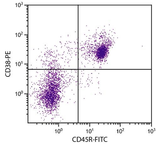 Anti-CD38 (PE), clone NIMR-5