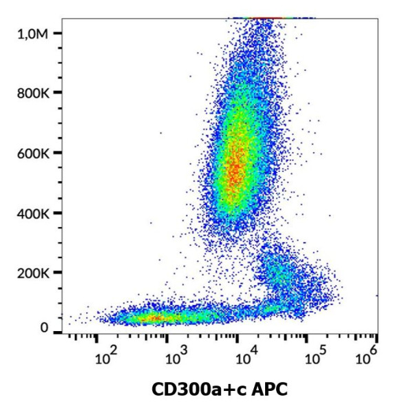 Anti-CD300a + CD300c (APC), clone MEM-260