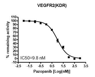 VEGFR2(KDR) Kinase Assay Kit