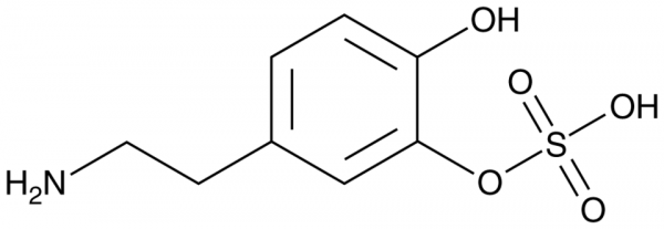 Dopamine 3-O-Sulfate
