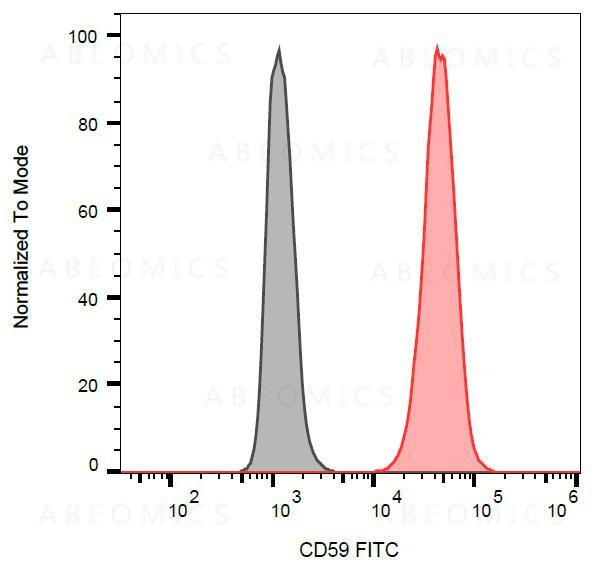 Anti-CD59 / Protectin Monoclonal Antibody (Clone:MEM-43)-FITC Conjugated