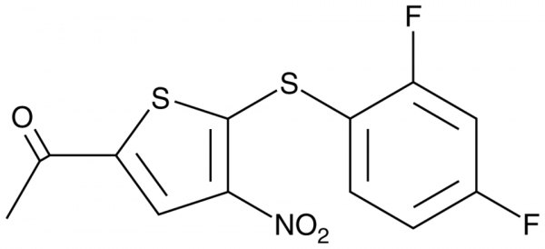 P22077
