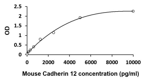 Mouse Cadherin 12 ELISA Kit